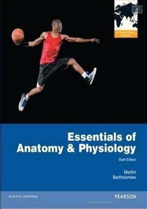 Essentials Of Anatomy Physiology 6e Martini