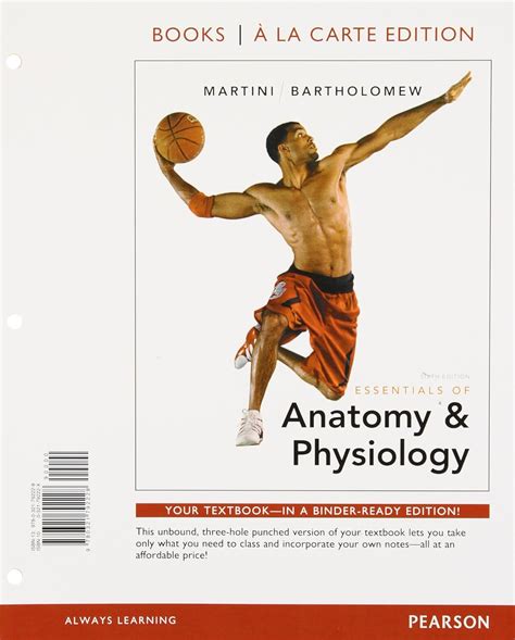 Essentials Of Anatomy Physiology 6th Edition Martini Pdf