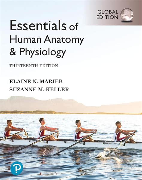 Essentials Of Human Anatomy And Physiology By Elaine Marieb