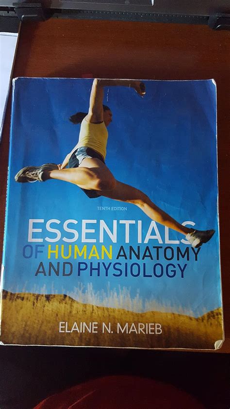 Download Essentials Anatomy And Physiology 10Th Edition Marieb 