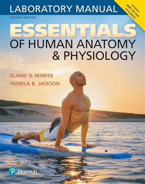 Read Essentials Of Anatomy And Physiology 9E Marieb Pdf 