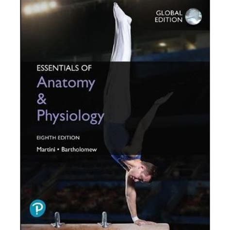 Download Essentials Of Anatomy And Physiology Martini 8Th Edition Free Download 