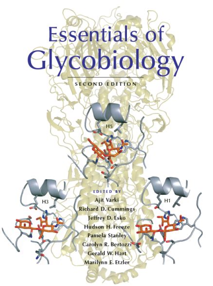 Full Download Essentials Of Glycobiology 2Nd Edition 