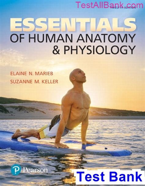 Read Online Essentials Of Human Anatomy And Physiology Answer Key At The Clinic Chapter 8 
