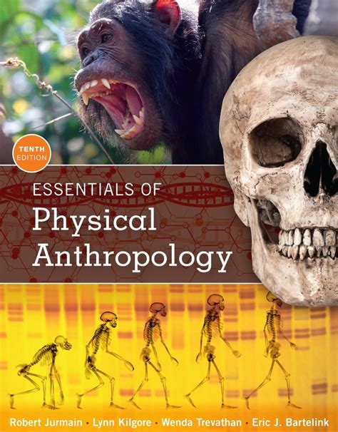 Read Online Essentials Of Physical Anthropology 