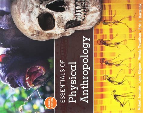 Download Essentials Of Physical Anthropology 3Rd Edition Home 