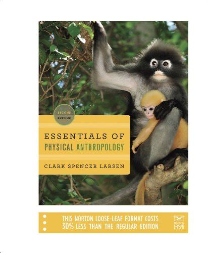 Full Download Essentials Of Physical Anthropology Larsen 2Nd Edition 
