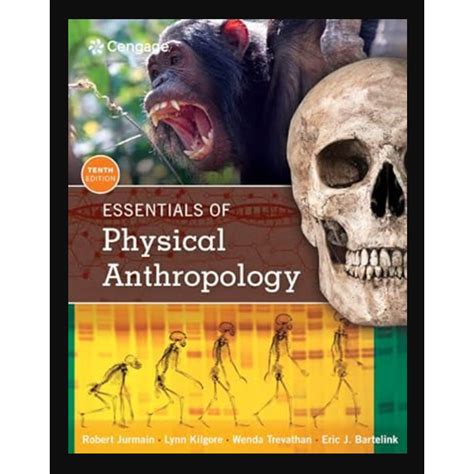 Download Essentials Of Physical Anthropology Pdf Book Indicaore 