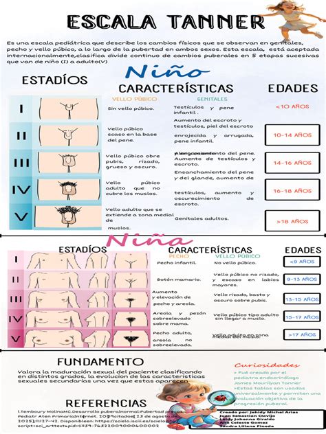 Estadiamento De Tanner