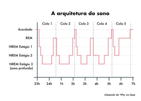 Estagios Do Sono