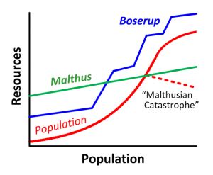 Ester Boserup Vs Malthus