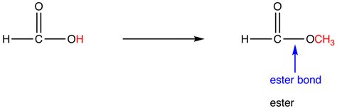 Ester Functional Group