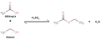 ester hydrolyseras