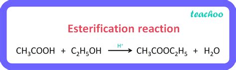 Esterification Class 10