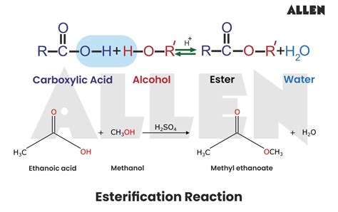 Esterification Lab Answers
