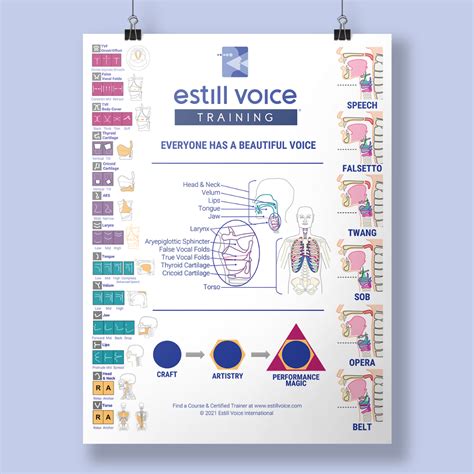 estill voice training