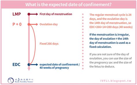 estimated date of confinement 뜻