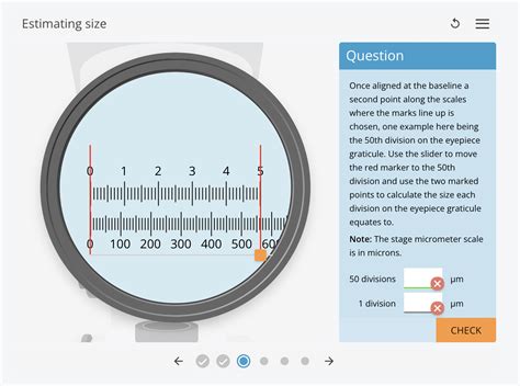 Estimating The Size Of A Mole Lab Answers