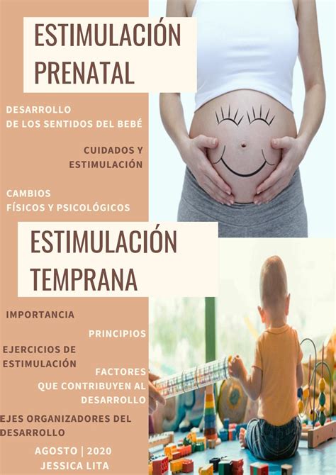 estimulacion prenatal segundo trimestre da