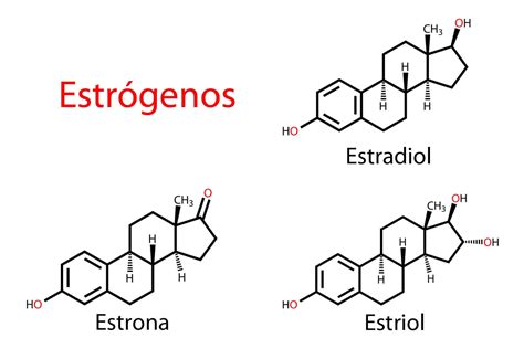 estrogenos