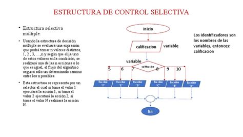 estructura de control selectiva c++