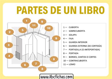 Estructura De Un Libro
