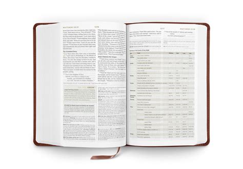 Esv Student Study Bible