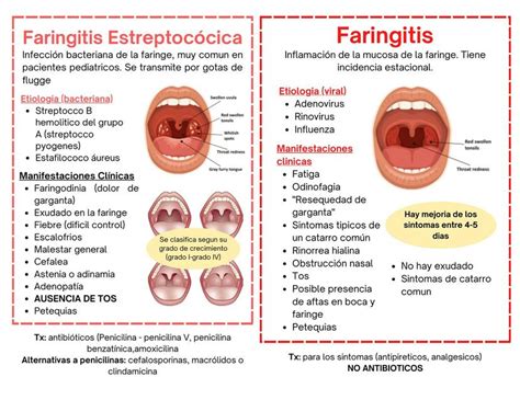 Etapas De La Faringitis