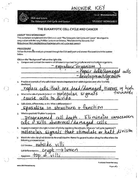 Eukaryotic Cell Cycle Worksheet Answer Key