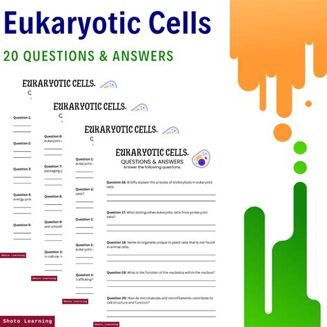 eukaryotic cells questions and answers