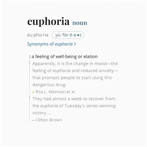 Euphoria Lyrics Kendrick Explained