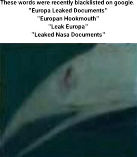 europa life leaked documents