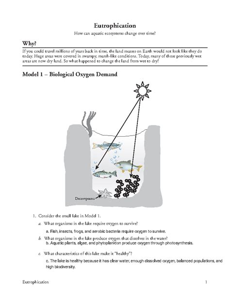 eutrophication pogil key