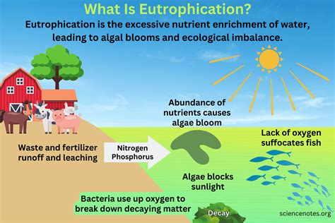 Image related to eutrophication-meaning