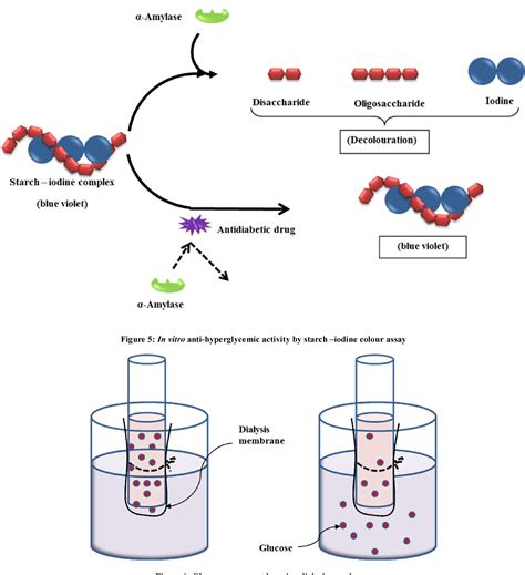 Evaluation Of Antidiabetic Activity Of Costus Igneus L
