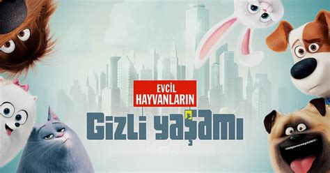 evcil hayvanların gizli hayatı Yandex.
