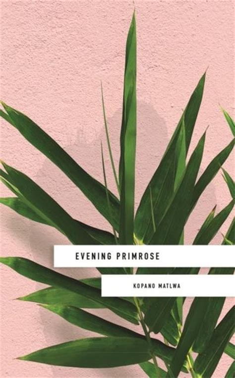 Download Evening Primrose A Heart Wrenching Novel For Our Times 