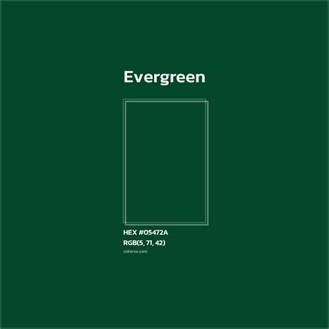 evergreen color