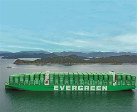 evergreen tracking | Tracking VIET TOAN JSC