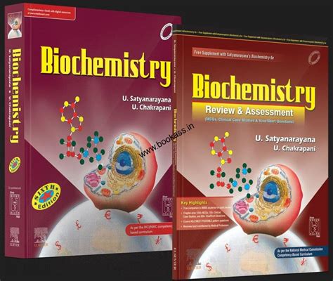 Read Online Evergreen 9Th Edition Answers 
