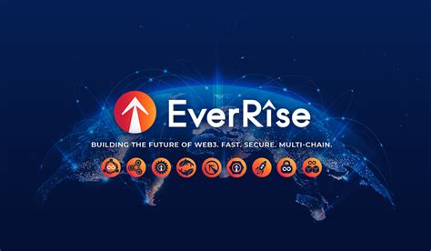 everrise image 6