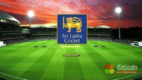 everton vs wolves | Lch thi u Everton vs Wolves 812026