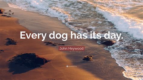 Every Dog Has A Day