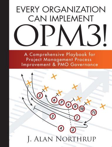 Download Every Organization Can Implement Opm3 A Comprehensive Playbook For Project Management Process Improvement Pmo Governance 