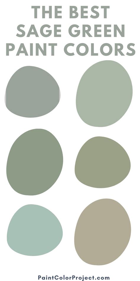 Everything About The Color Sage Green Warna Sage - Warna Sage