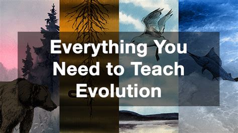 Everything You Need To Teach Evolution Nova Pbs 7th Grade Worksheet For Evelotion - 7th Grade Worksheet For Evelotion
