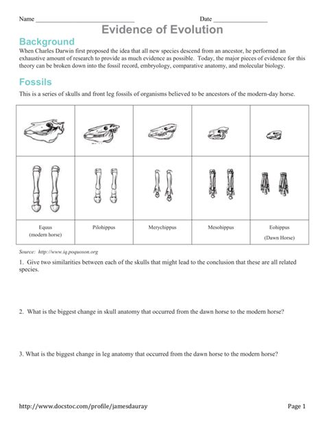 Evidence For Evolution Packet Answer Key