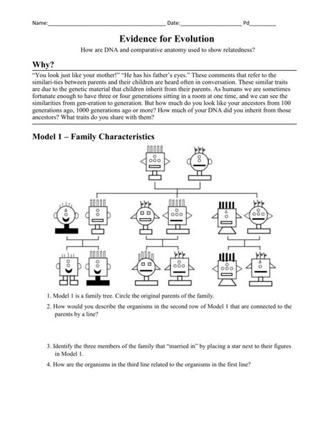 evidence for evolution packet answer key