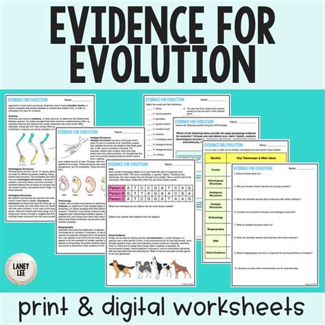 Evidence For Evolution Pogil Activities For High School Biology Answers