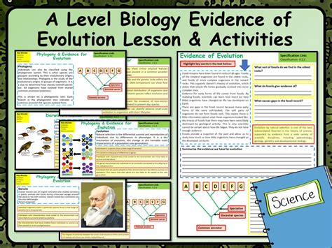 Evidence For Evolution Review